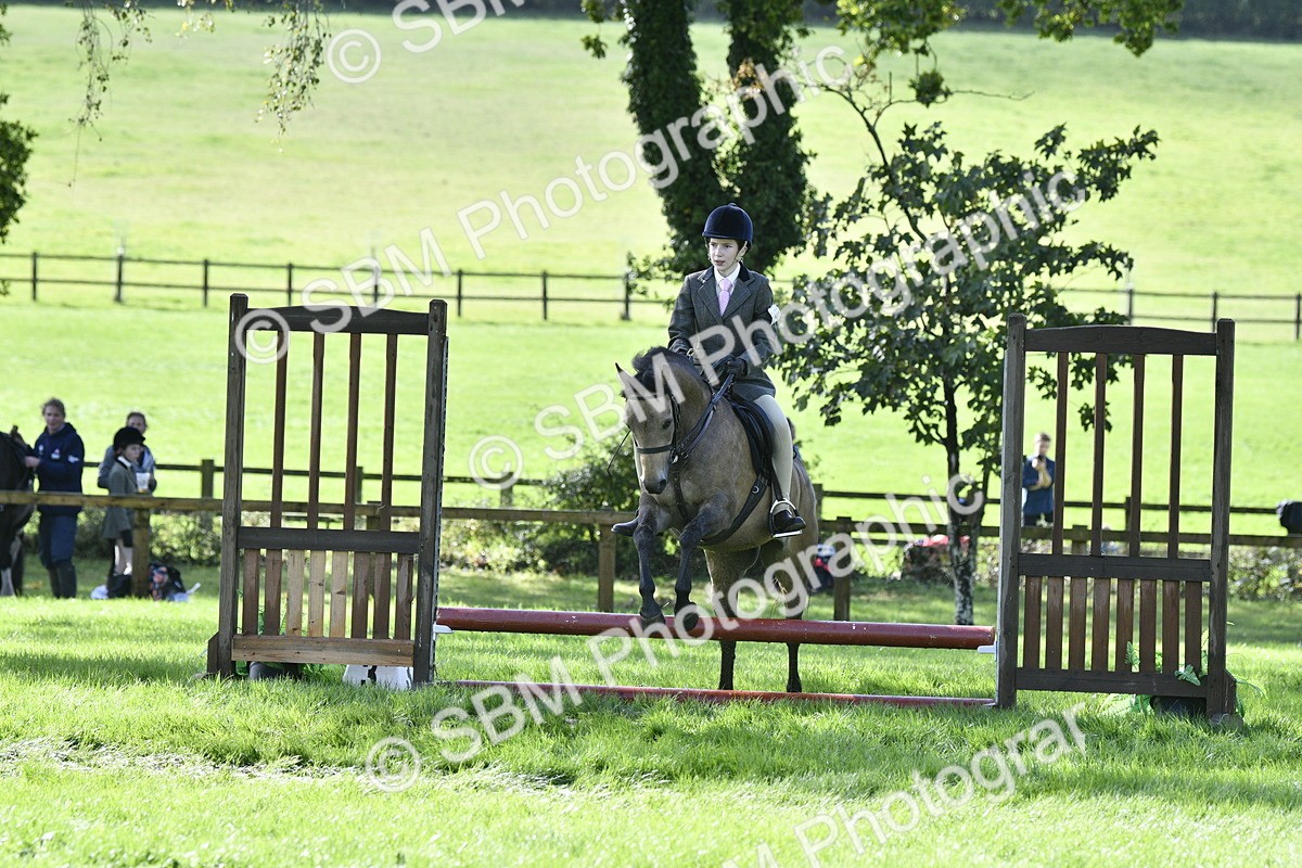 SBM_38242 - S31 - Novice & Newcomer Working Hunter Pony