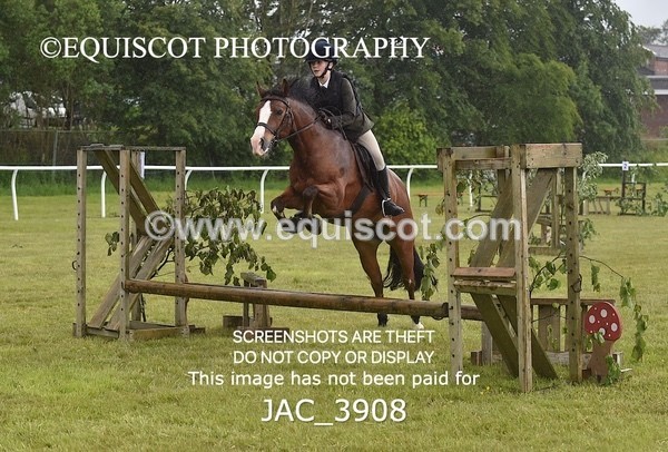 JAC_3908 - 55cm WORKING HUNTER