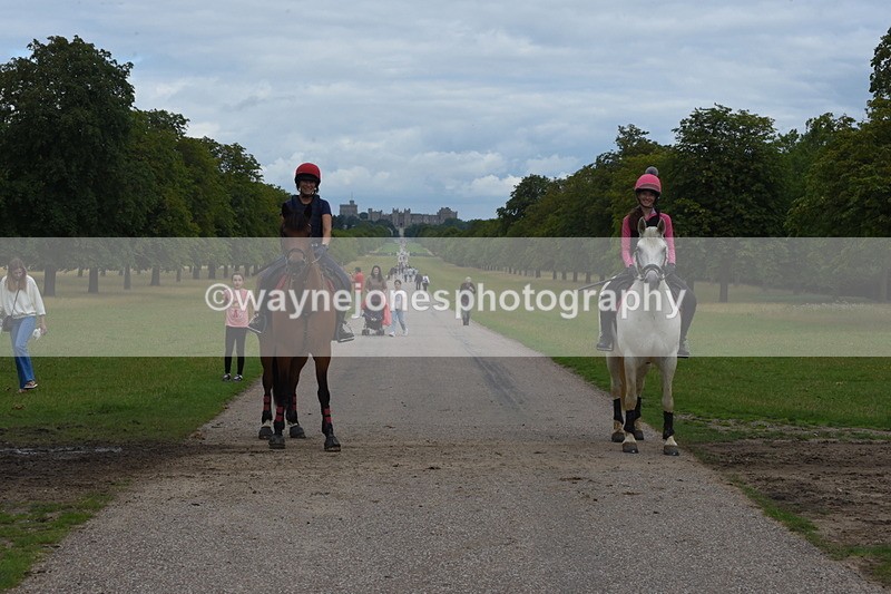 TT3_9676 - Time at Crossing 11:28 to 13:16