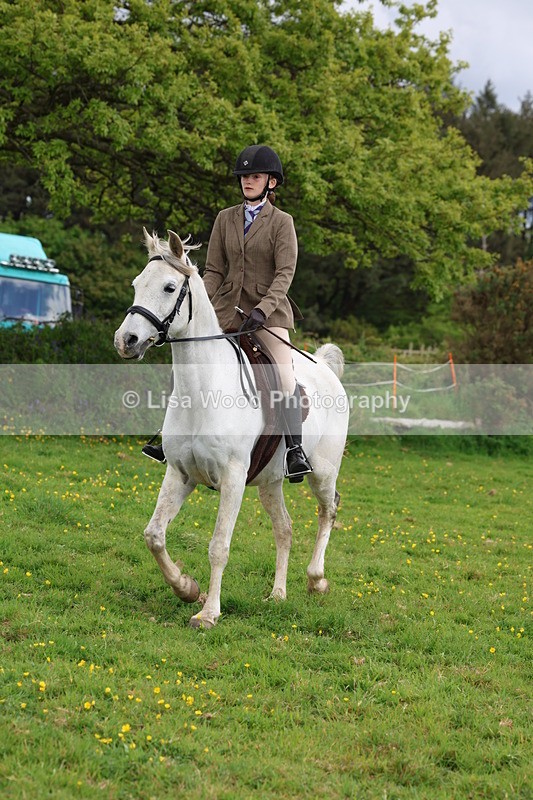 3E7A2106 - Class 11: Ridden Arab