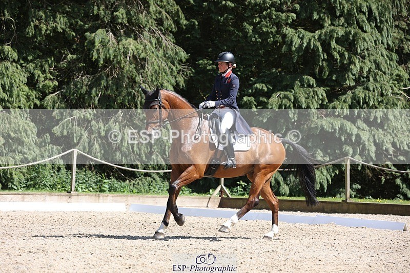 230526-152538-06693 - 381-CAROLINES_AIR_KM-Izzy_Taylor-WEDTrotUp+DR