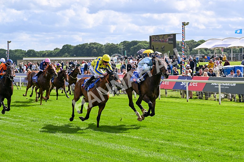 120626-Race 5-Antipodes-7834 - Race 5 16.10pm Sky Bet The World's Gone Football Handicap