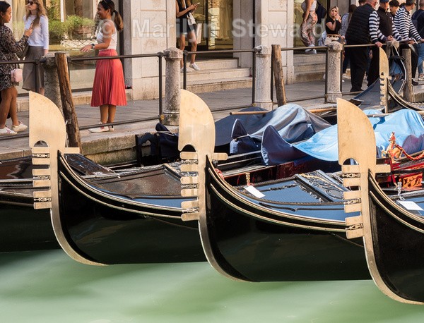 Venice-4 - Lake Garda, Verona and Venice