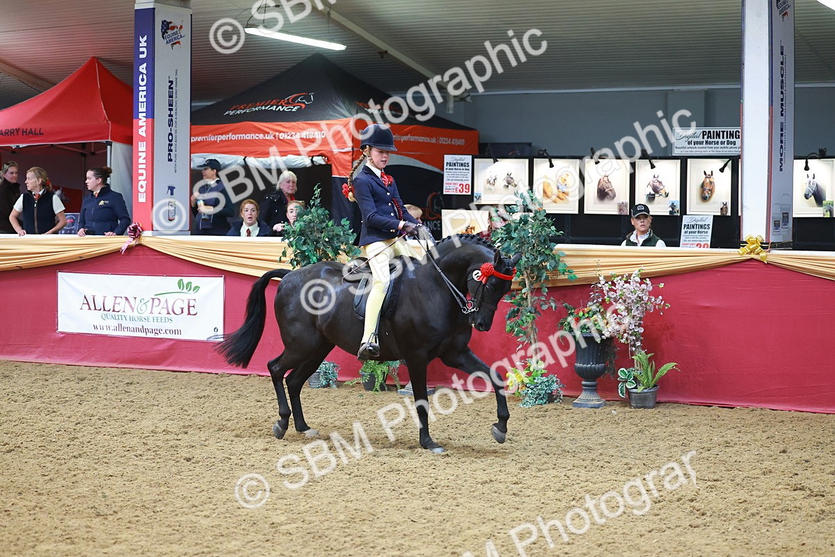 SBM_12724 - Class 103 - HOYS Veteran Qualifier - Ridden Pre Vet