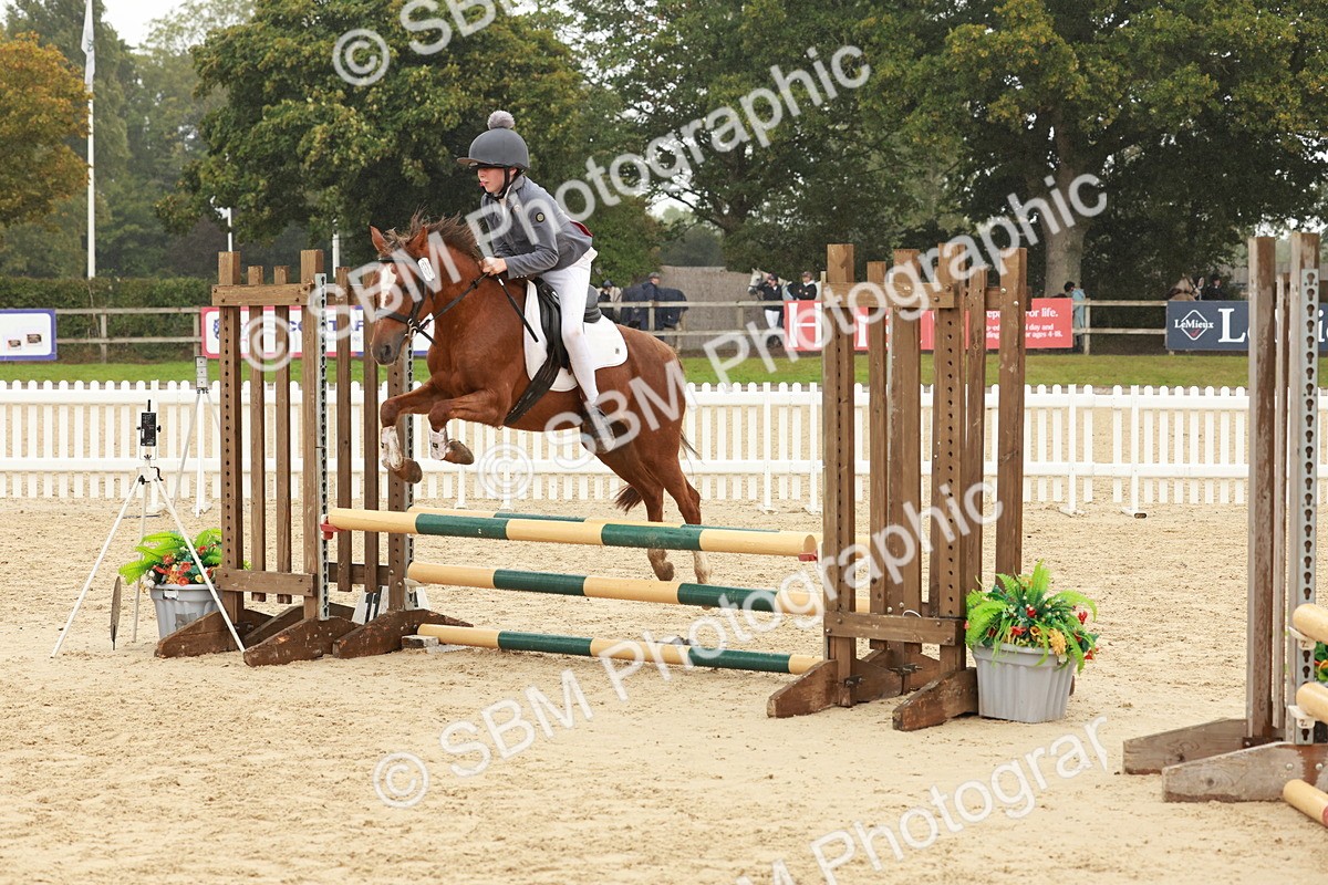 SBM_71178 - J14 - Junior Pony 65cm Championship