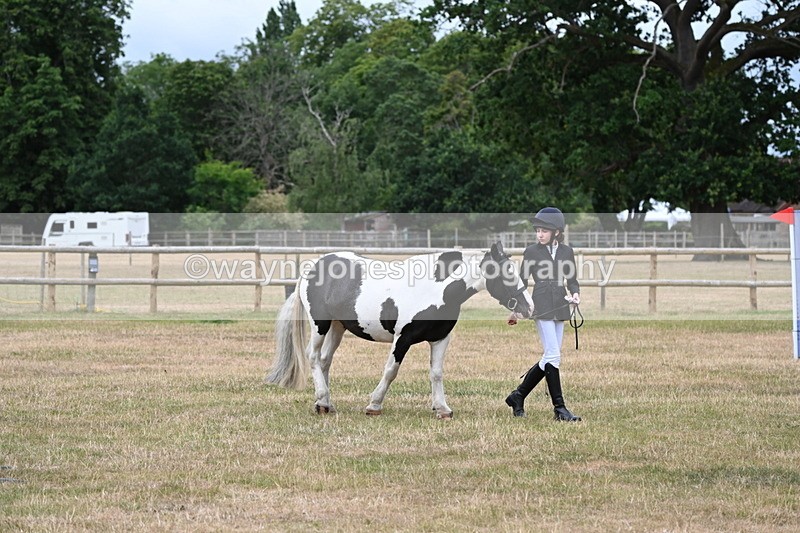 WJ6_4592 - Class 10 Coloured In-hand