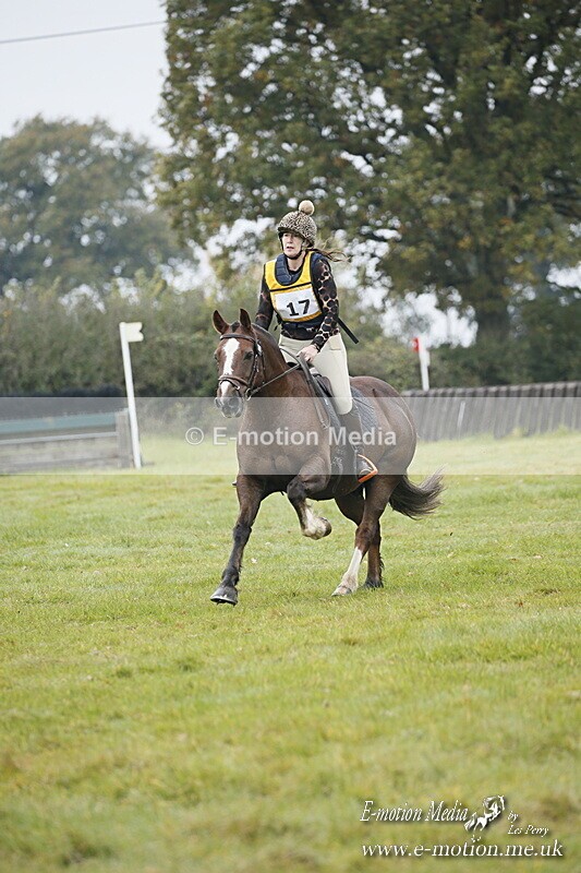 WWHT 181020 WWHT 181020 513 - WWEC Open Novice (0.80m) 18/10/20