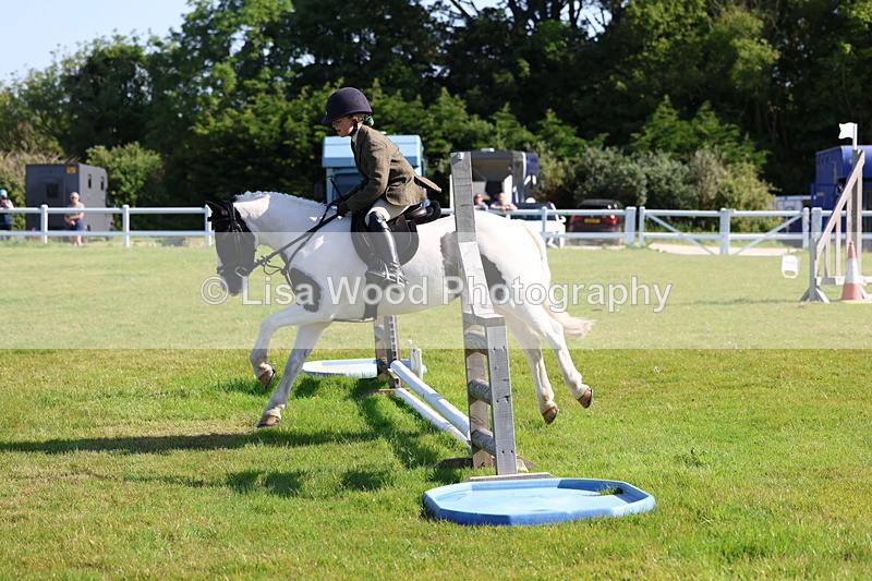 3E7A5890 - Class 27: Novice Working Hunter Pony