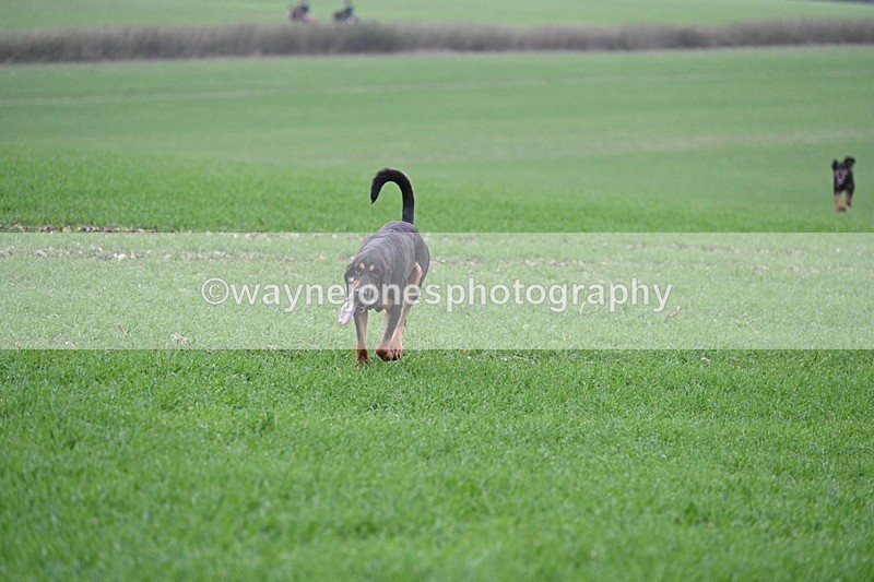 WJ7_0102 - Camera 1 & Last fence
