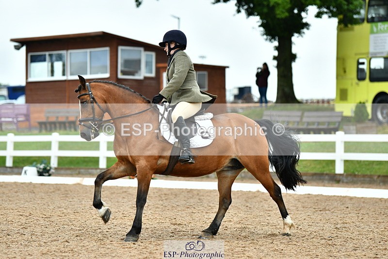 230630A-161801-03463 - Cls 9 Quest Novice 28