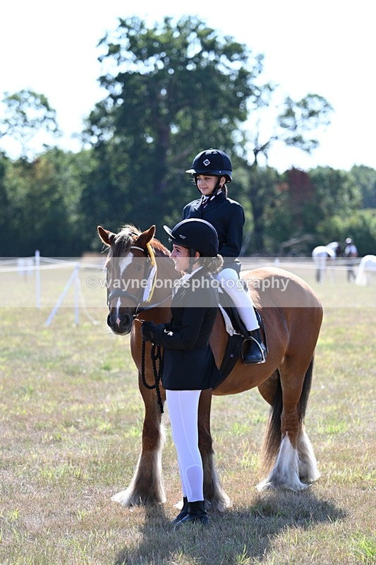 WJ7_3217 - Class 8 Ridden Tack & Turnout