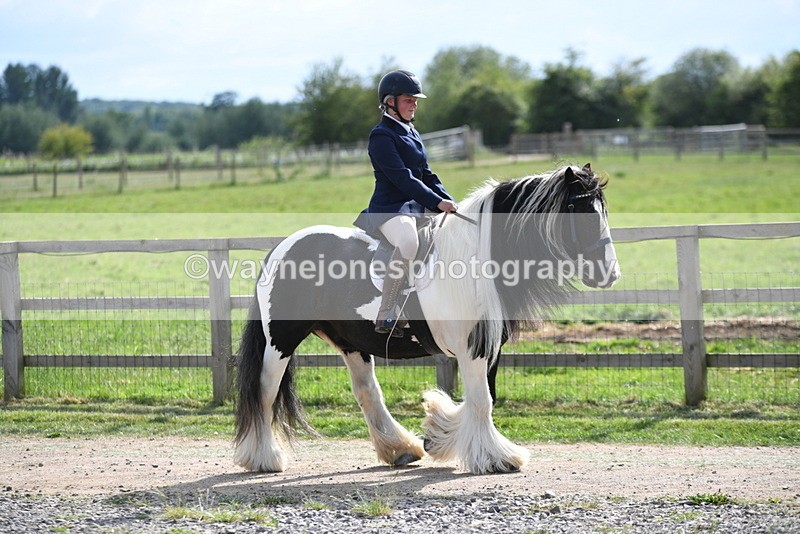 WJ5_7942 - Time 16:56 to 17:14