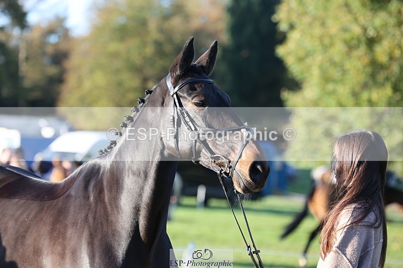 241027-085610-14908 - 368-Kaia.Land-PIPISTRELLE