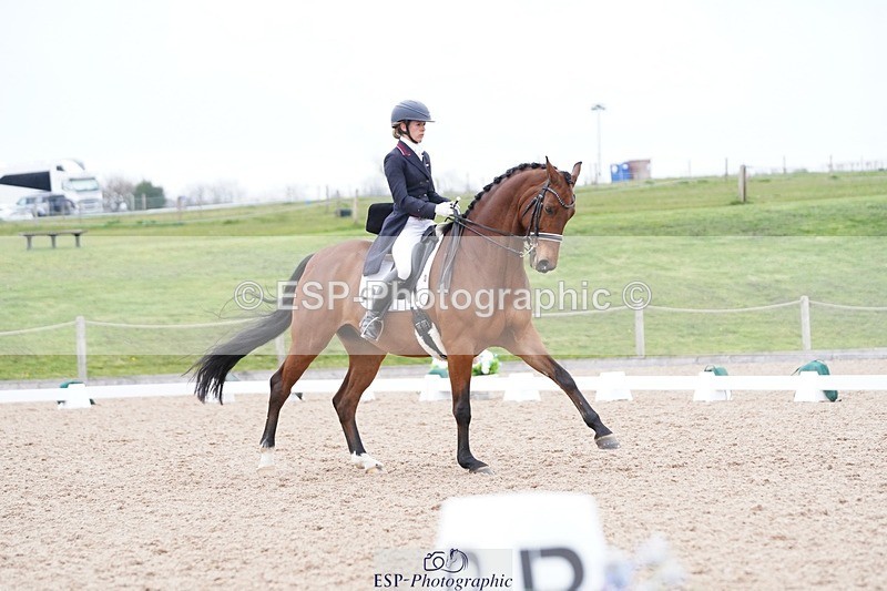 250403-162006-03286 - 028-Elizabeth.Allen-Heraldik