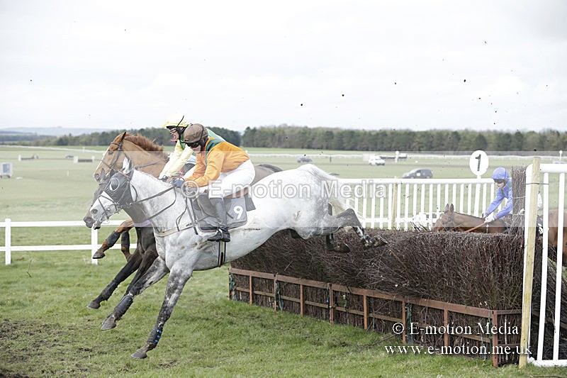 PtP 150320 0676 - New Forest Point-to-Point Larkhill 15/03/20