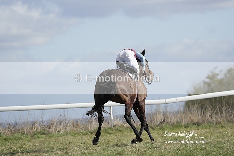PtP 260223 518 - South & West Wilts Point-to-Point Larkhill 26/02/23