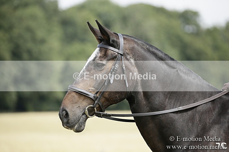 _EP59105 - Roving Camera BVRC Show 2018