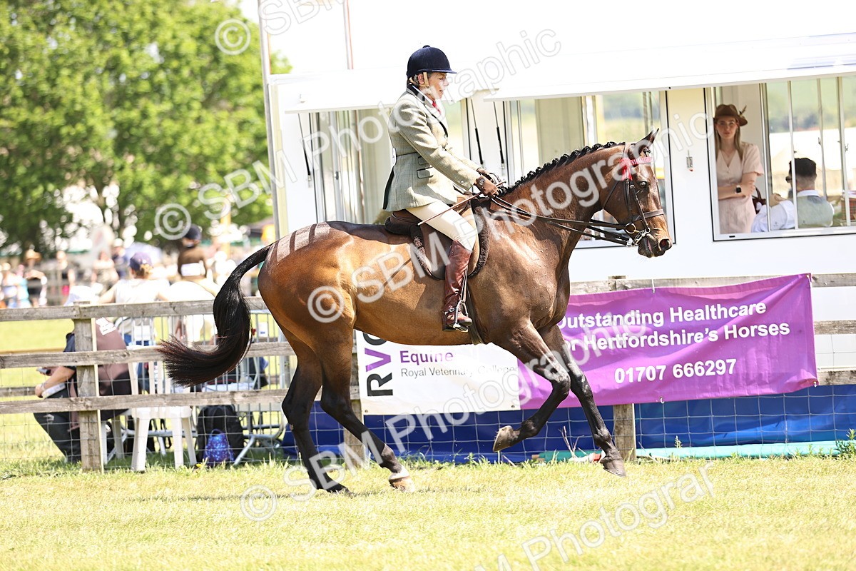 SBM_14859 - Class 78 - LIHS BSHA Open Racehorse & Show Horse