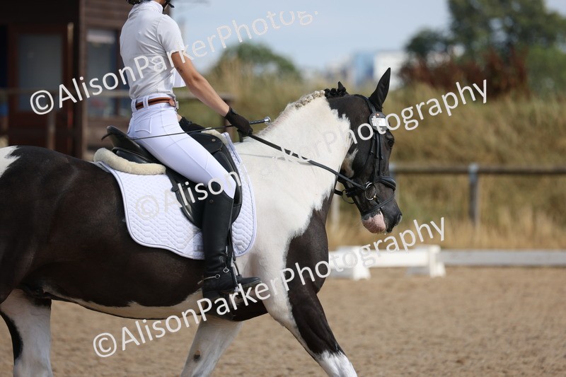 20250730-1321 - Class 8 - Elementary 2