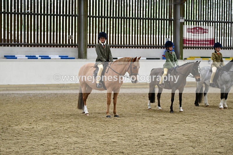 WJ5_7096 - Class 10 Childs Pony