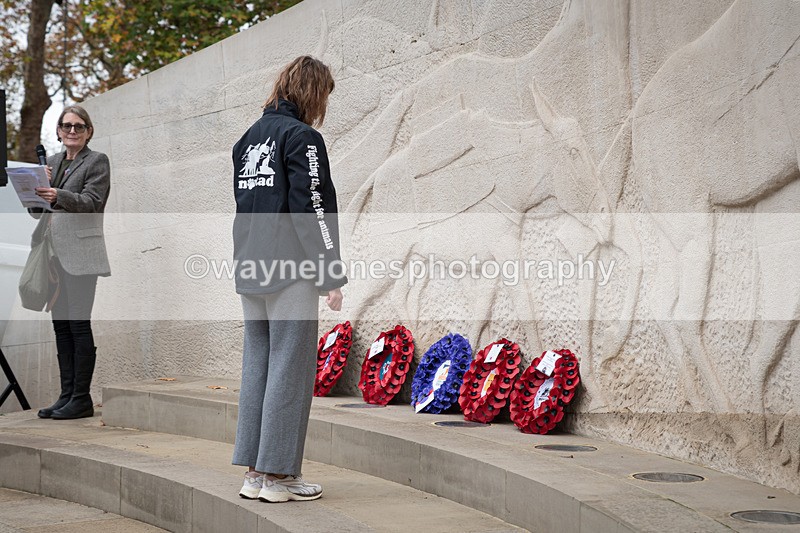 Z62_4603 - Animals In War Memorial 2025 - Park Lane, London
