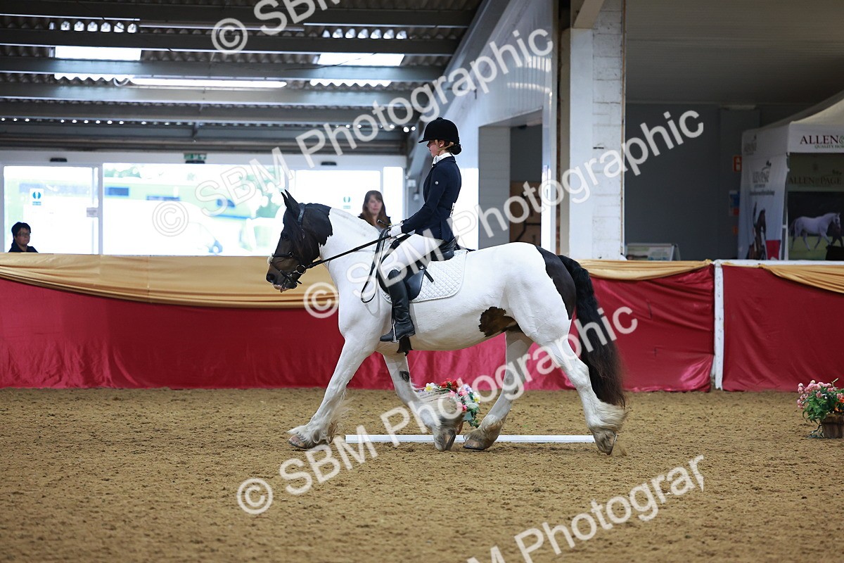 SBM_06623 - Class 61 - Dressage to Music