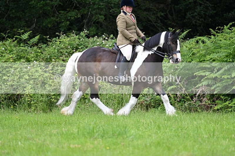 WJ7_2333 - Class 12A Coloured Class
