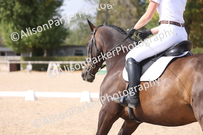 20260815-1040 - Class 6 - Novice 2
