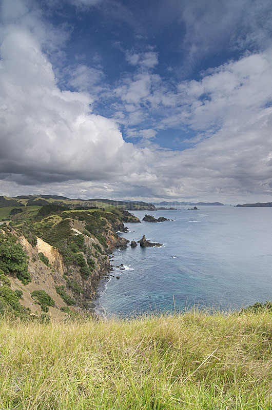 Mahinepua Peninsular - New Zealand North Island