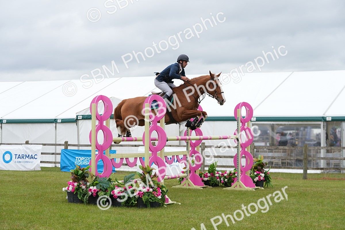 SBM_03473 - Class 201 - British Horse Feeds Speedi Beet Horse of the Year Show Grade  C