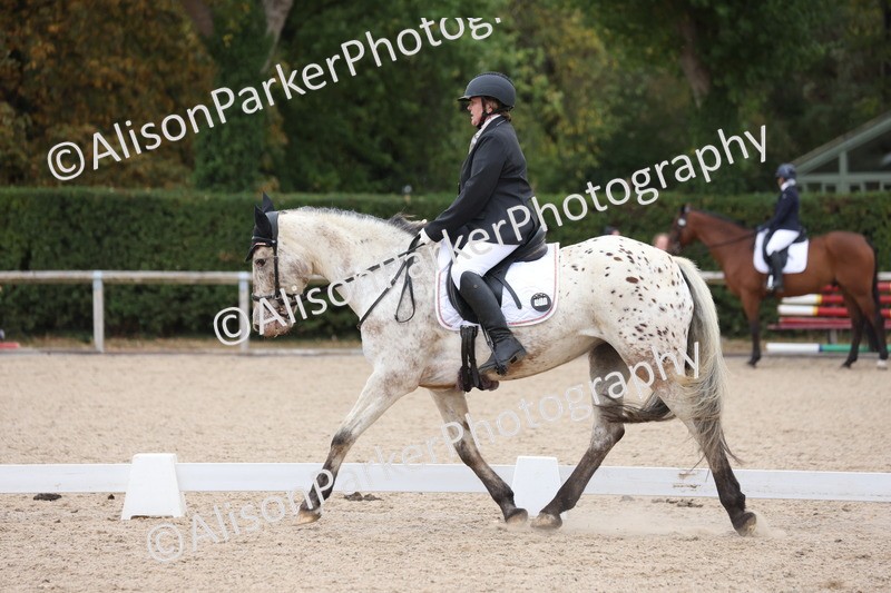 20250820-0279 - Class 9 - My Quest Prelim 3