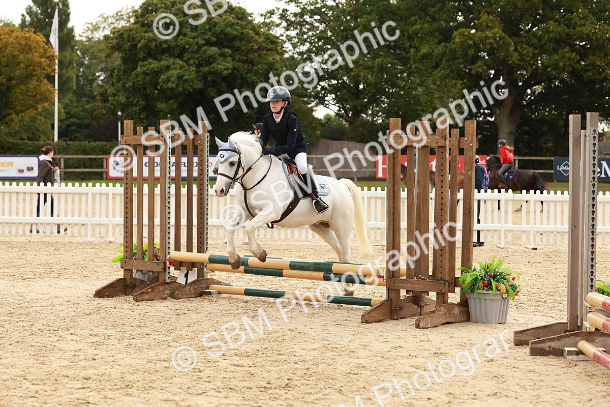 SBM_57765 - J11 - Junior Pony 50cm Championship