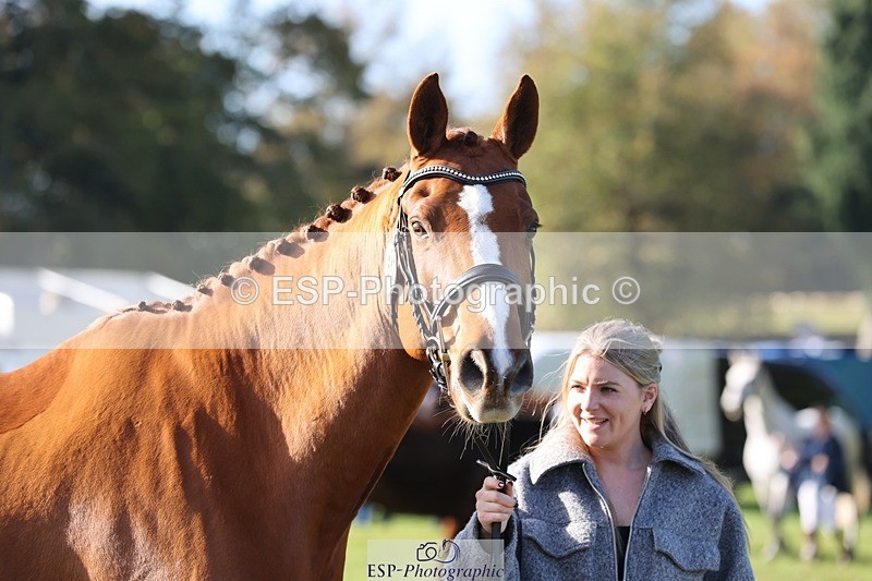 241027-101534-15773 - 512-Elisha.O'Brien-HIGHLIGHT.ROLLER