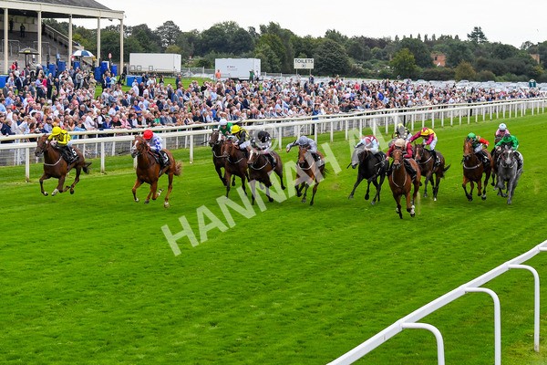 230823-Race 6-Designer-0788 - Race 6 4.45pm IRE Incentive, It Pays To Buy Irish Fillies' Handicap