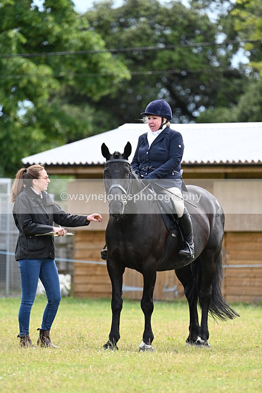 WJ7_8526 - Class 7  Riding Club Show Horse