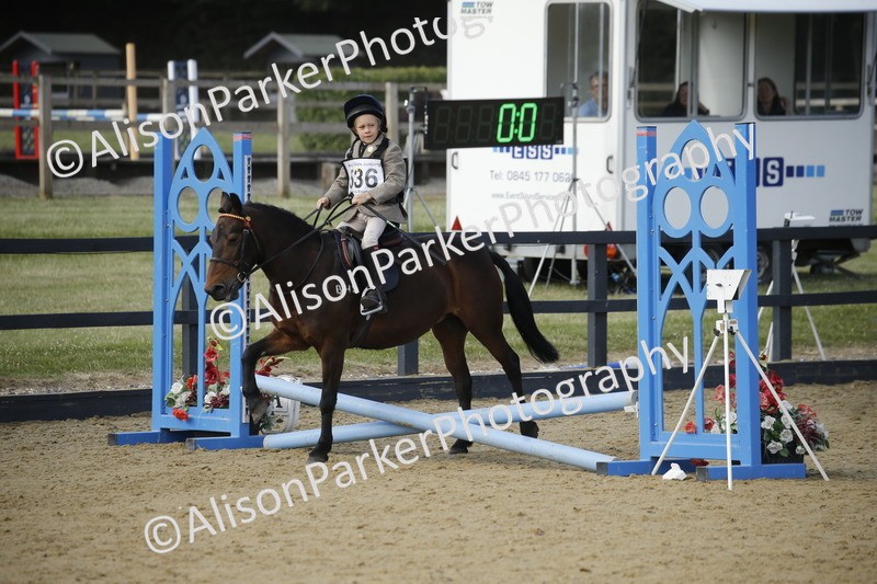 20250622-1603 - 40cm