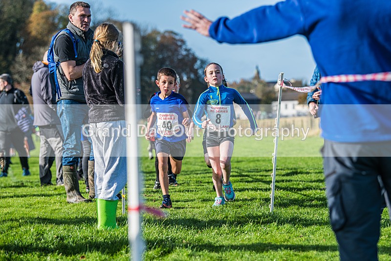 Cumbria XC-37 - Cumbria XC League Workington Saturday 26th October 2024