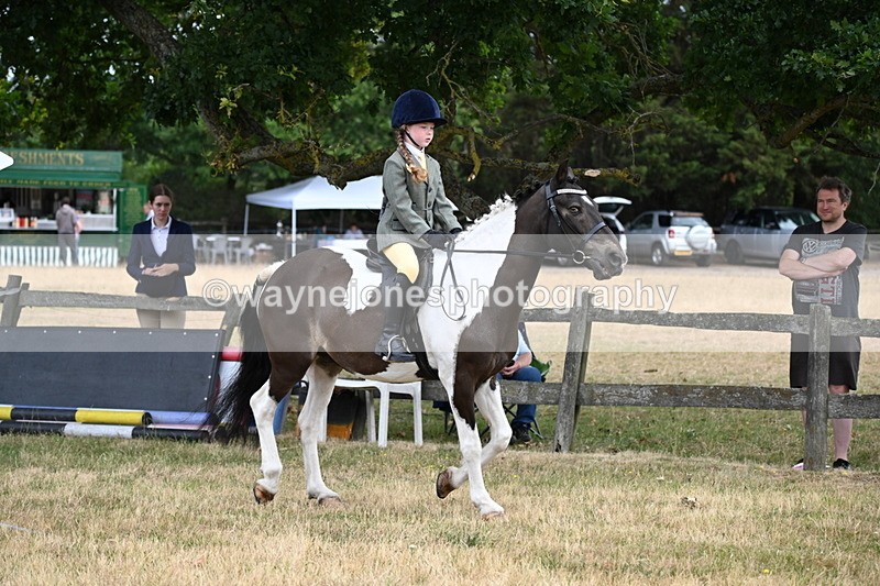 WJ6_3882 - Class 9 Tack & Turnout