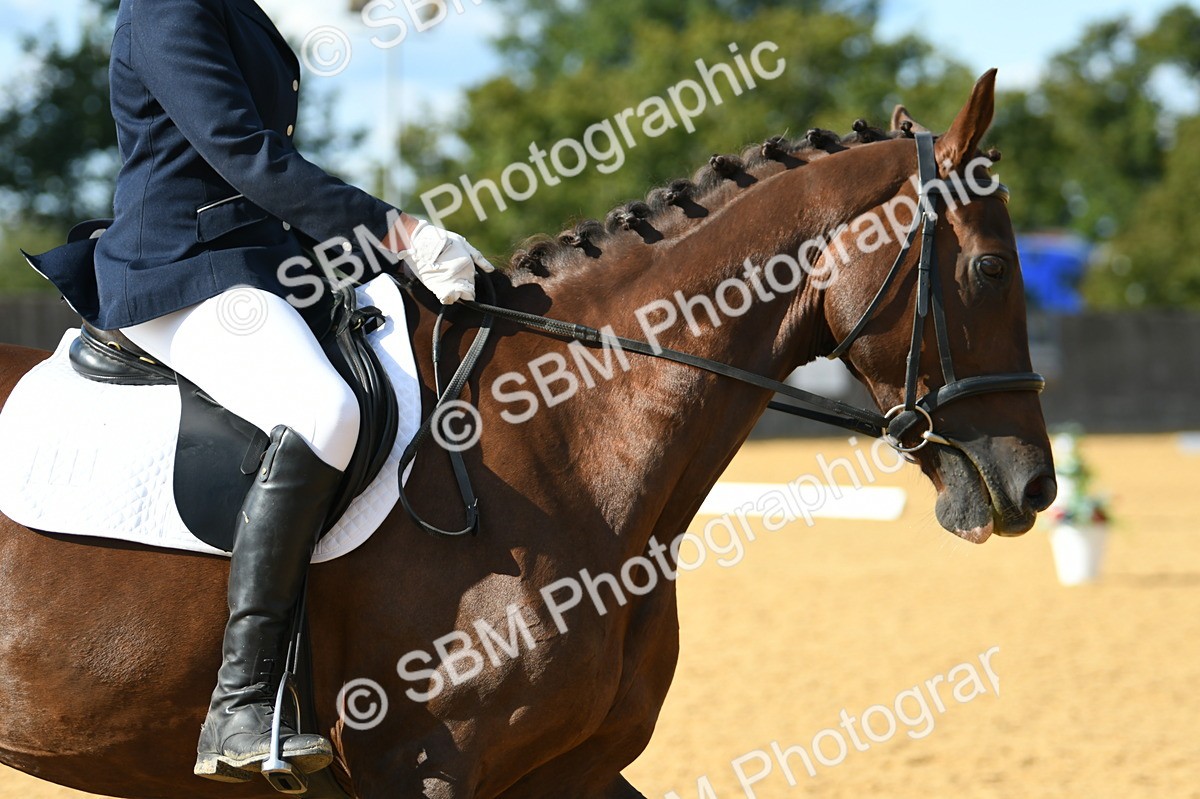 SBM_27073 - D16 - Small Tour Championship - Novice 28