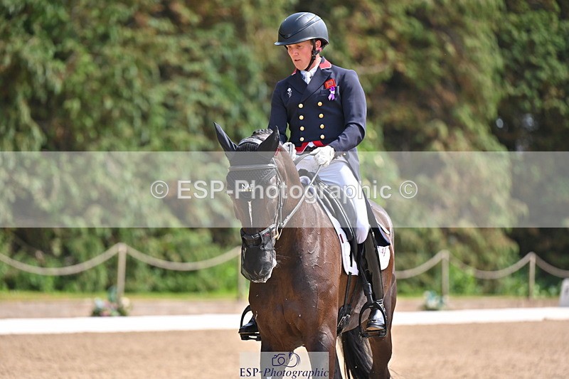 250523A-145713-07400 - B-365-Tom.McEwen-MAESTRO