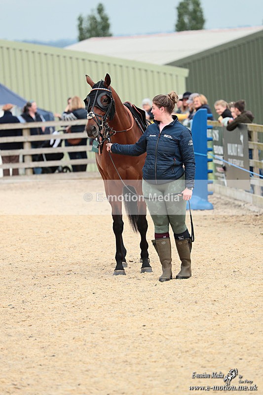 PtP 040526 424 - Mollington Point-to-Point 04/05/26