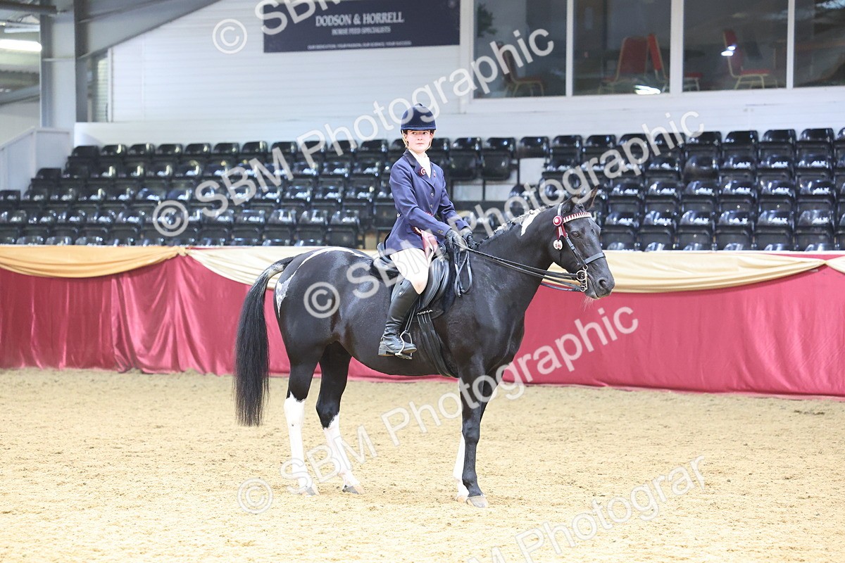 SBM_24668 - Class 906 - Supreme Final - Ridden Pre Vet