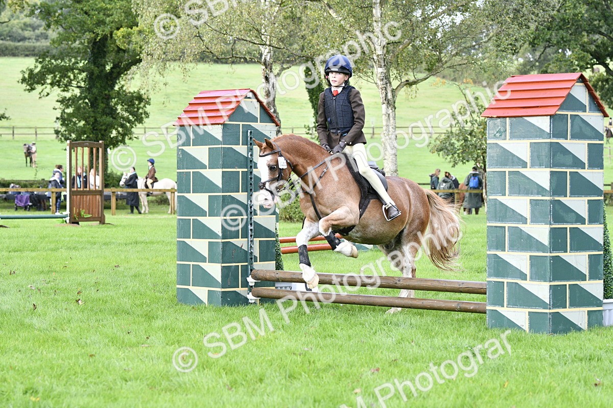 SBM_35413 - S30 - Nursery Stakes Working Hunter Pony