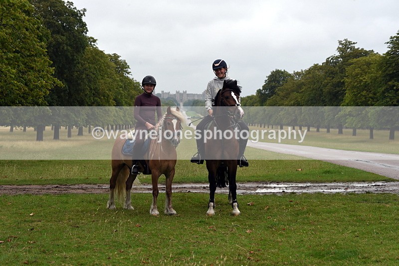 TT3_8119 - Time at Crossing 09:15 to 10:15