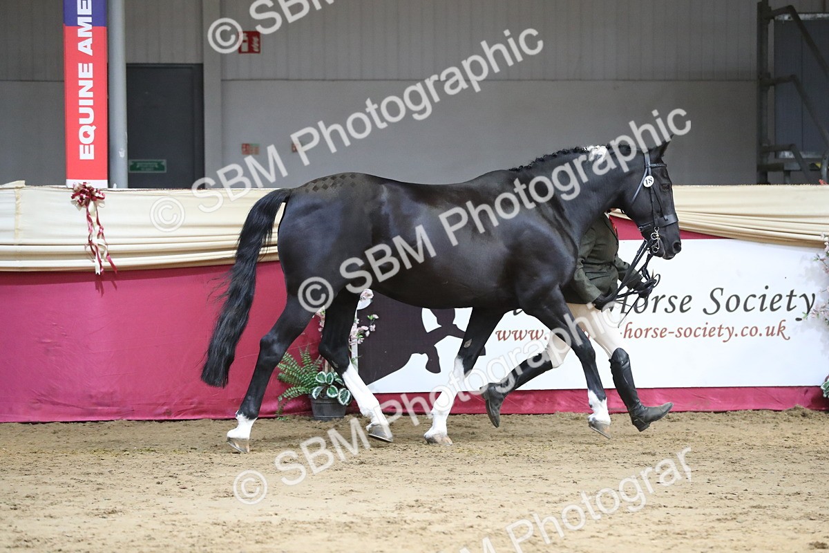 SBM_06551 - Regional IH Champ