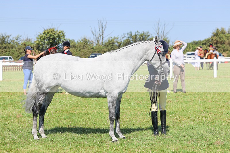IMG_1953 - Class 33: Show Pony 148cm and under