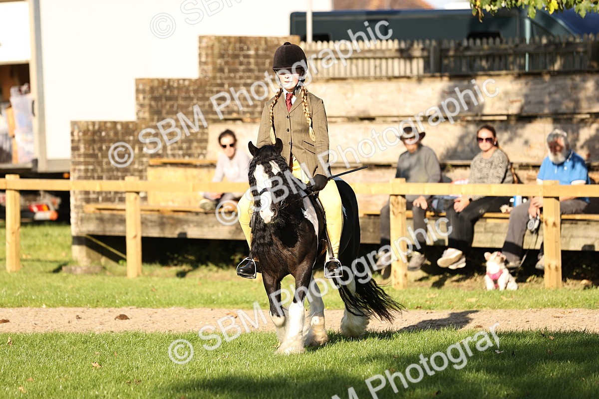 SBM_29422 - S7 - Novice & Newcomers Ridden Pony