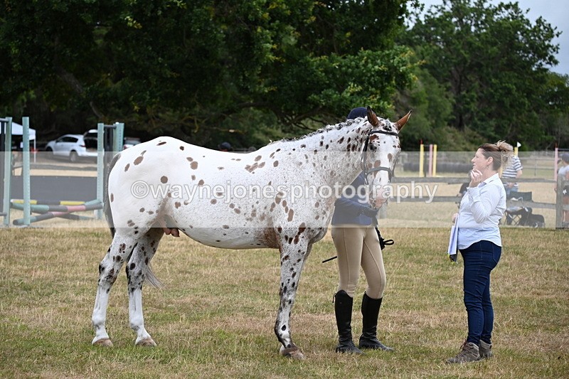 WJ6_4266 - Class 10 Coloured In-hand