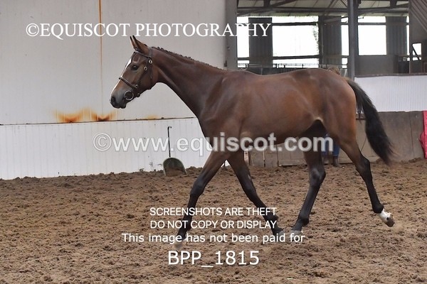 BPP_1815 - MORNING 9AM - 12PM