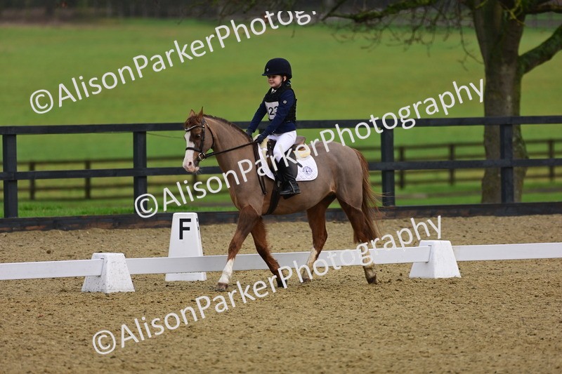 20260125-0663 - Class 9b - Walk Trot Unassisted